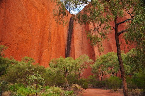 Uluru Sunrise And Guided Base Walk - Attractions Brisbane 3