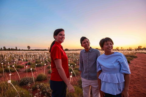 Uluru (Ayers Rock) Field Of Light Sunrise Tour - Attractions Brisbane 2