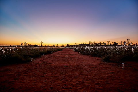 Uluru (Ayers Rock) Field Of Light Sunrise Tour - Attractions Brisbane 3