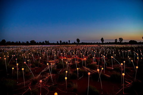 Uluru (Ayers Rock) Field Of Light Sunrise Tour - Attractions Brisbane 4