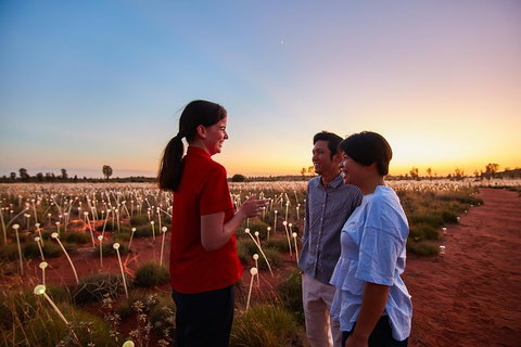 Uluru (Ayers Rock) Field Of Light Sunrise Tour - Attractions Brisbane 5