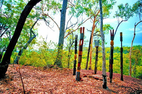 Tiwi Islands Cultural Experience From Darwin Including Ferry - Attractions Brisbane 3