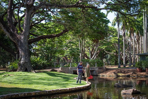 Darwin City Sights And Jumping Crocodile Cruise - Attractions Brisbane 5