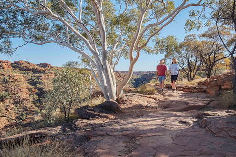 3-Day Tour From Uluru (Ayers Rock) To Alice Springs Via Kings Canyon - Attractions Brisbane 1