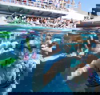 Great Barrier Reef Day Cruise from Cairns Including Snorkeling and Marine Biologist Presentation - Attractions Brisbane