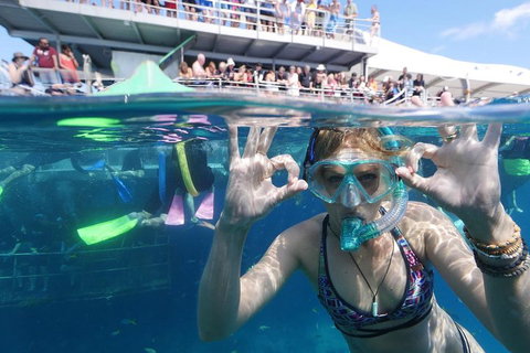 Great Barrier Reef Day Cruise From Cairns Including Snorkeling And Marine Biologist Presentation - Attractions Brisbane 0