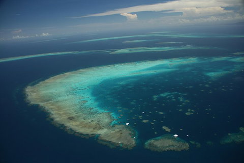 Great Barrier Reef Day Cruise From Cairns Including Snorkeling And Marine Biologist Presentation - Attractions Brisbane 1