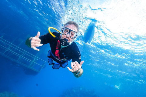 Great Barrier Reef Day Cruise From Cairns Including Snorkeling And Marine Biologist Presentation - Attractions Brisbane 3