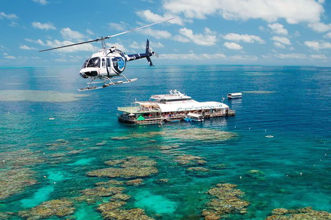 Great Barrier Reef Day Cruise From Cairns Including Snorkeling And Marine Biologist Presentation - Attractions Brisbane 5