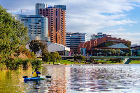 Adelaide City Kayak Tour - Attractions Brisbane 3
