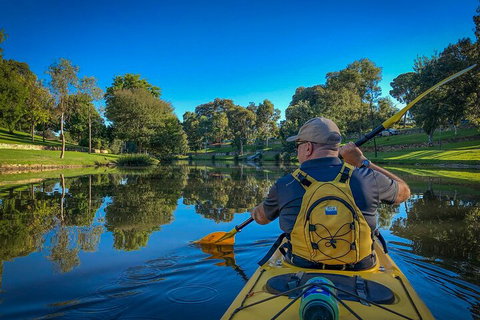 Adelaide City Kayak Tour - Attractions Brisbane 5