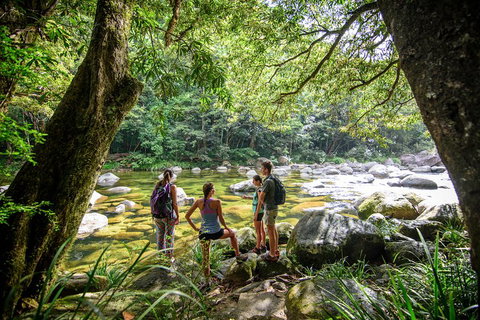 Private Daintree Mossman Gorge Exclusive Nature And Wildlife Focus - Attractions Brisbane 5