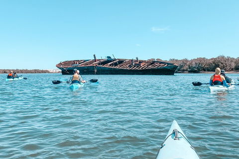 Kayak Tour In Adelaide Dolphin Sanctuary - Attractions Brisbane 3