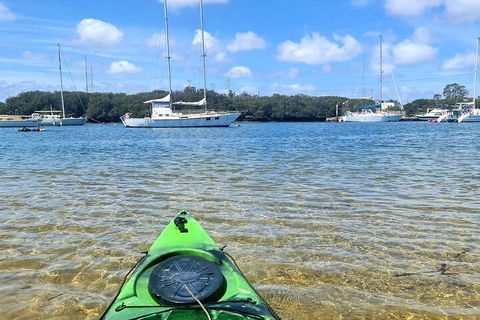 Kayak Tour In Adelaide Dolphin Sanctuary - Attractions Brisbane 4