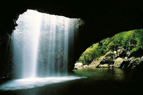Natural Bridge & Springbrook Waterfalls Tour - Attractions Brisbane 0