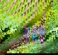 Tasmanian Wine Tour - Attractions Brisbane