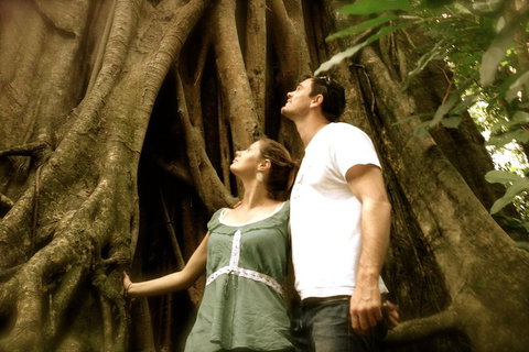 Daintree And Cape Tribulation Full Day Guided Tour - Attractions Brisbane 5