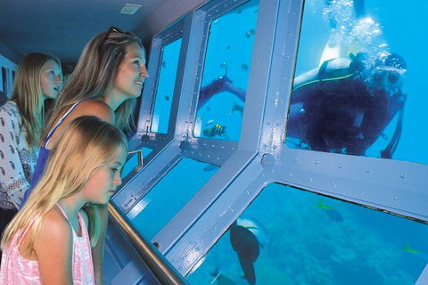 Quicksilver Outer Great Barrier Reef Snorkel Cruise From Palm Cove - Attractions Brisbane 0