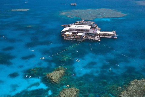 Quicksilver Outer Great Barrier Reef Snorkel Cruise From Palm Cove - Attractions Brisbane 1
