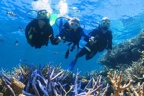 Quicksilver Outer Great Barrier Reef Snorkel Cruise From Palm Cove - Attractions Brisbane 3