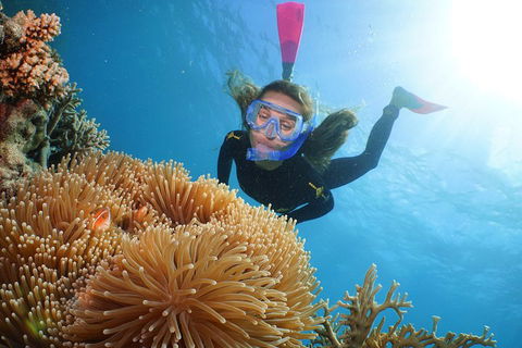 Quicksilver Outer Great Barrier Reef Snorkel Cruise From Port Douglas - Attractions Brisbane 2