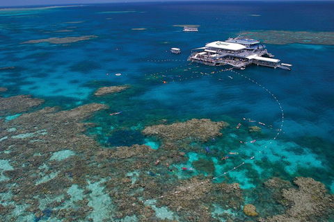 Quicksilver Outer Great Barrier Reef Snorkel Cruise From Port Douglas - Attractions Brisbane 3
