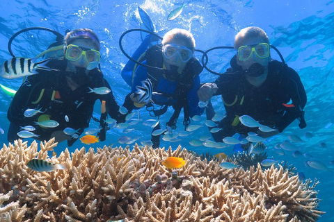 Quicksilver Outer Great Barrier Reef Snorkel Cruise From Port Douglas - Attractions Brisbane 4