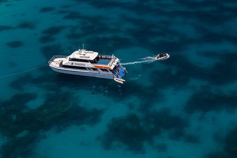 Quicksilver Dive 4 Day PADI Learn To Dive Course - Attractions Brisbane 1