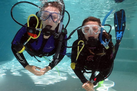 Quicksilver Dive 4 Day PADI Learn To Dive Course - Attractions Brisbane 2