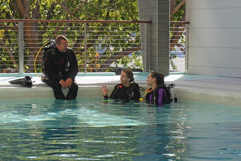 Quicksilver Dive 4 Day PADI Learn To Dive Course - Attractions Brisbane 3