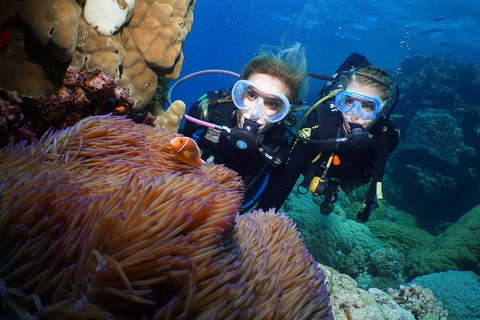Quicksilver Dive 4 Day PADI Learn To Dive Course - Attractions Brisbane 4