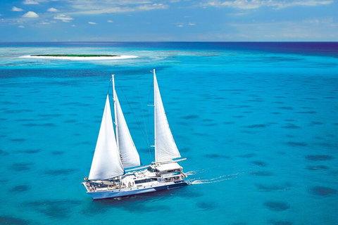 Ultimate 3-Day Great Barrier Reef Cruise Pass - Attractions Brisbane 5