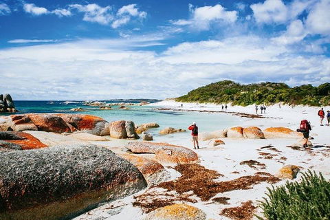 Wineglass Bay Private Charter Service - Attractions Brisbane 3