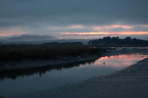 Launceston Private Charter Service - Attractions Brisbane 1