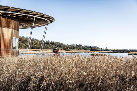 Launceston Private Charter Service - Attractions Brisbane 2