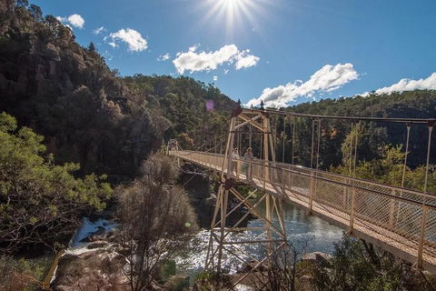 Launceston Private Charter Service - Attractions Brisbane 5