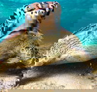 Sail Snorkel SUP  Kayak Charter Whitsundays - Attractions Brisbane