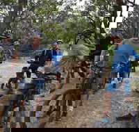 Fully guided E-Mountain Bike Tour on the beautiful Mornington Peninsula. - Attractions Brisbane