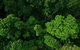 Cairns & Port Douglas All-Inclusive 7 Days Touring Package - thumb 4