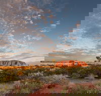 Uluru Kata Tjuta and Kings Canyon Camping Safari from Alice Springs - Attractions Brisbane