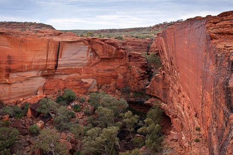 Uluru, Kata Tjuta And Kings Canyon Camping Safari From Ayers Rock - Attractions Brisbane 1