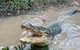 Top End Waterfalls And Wetlands - thumb 0
