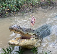 Top End Waterfalls and Wetlands - Attractions Brisbane