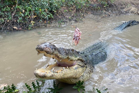 Top End Waterfalls And Wetlands - Attractions Brisbane 0