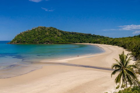 Daintree And Cape Tribulation Tour From Cairns - Attractions Brisbane 1