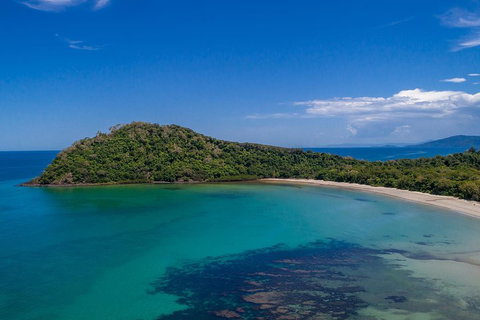 Daintree And Cape Tribulation Tour From Cairns - Attractions Brisbane 4