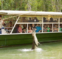 Hartley's Crocodile Adventure Half-Day Tour - Attractions Brisbane