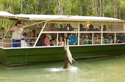 Hartley's Crocodile Adventure Half-Day Tour