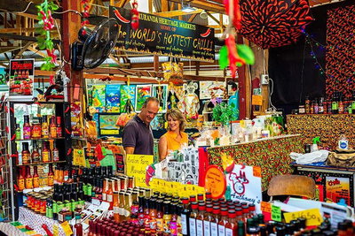 Skyrail Rainforest Cableway Day Trip from Cairns