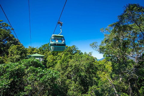 Skyrail Rainforest Cableway Day Trip From Cairns - Attractions Brisbane 1